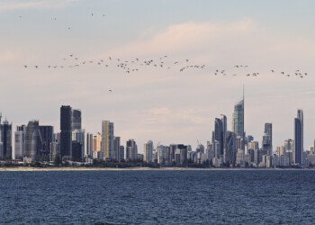 Birds Over Surfers Paradise