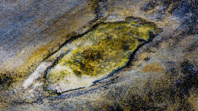 Human Condition 2 - Hope