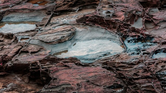 Human Condition 3 - Creative Growth