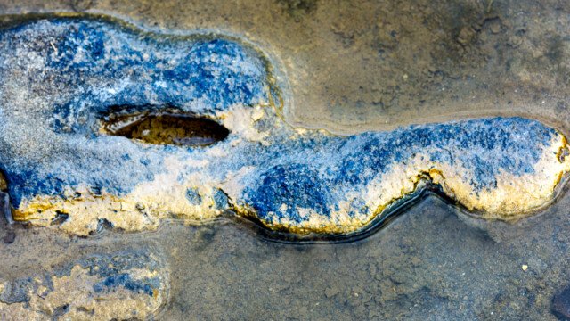 Human Condition 6 - Freedom