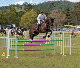 Dayboro Show Horse Jumping Event