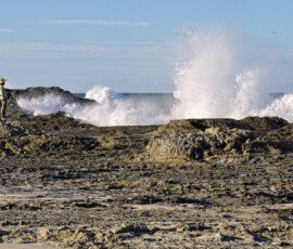Fishing from the Rocks