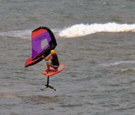 Flying Over The Waves