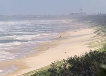 Not Many at the Beach