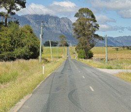 On The Road to Cradle Mountain