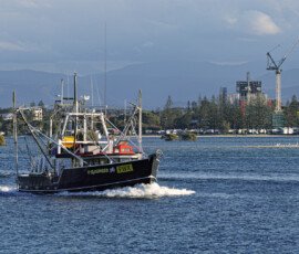 Prawn Trawler Heading Out To Sea