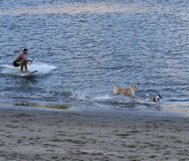 Racing the Board Rider