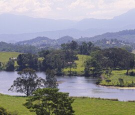 Tweed River near South Murwillumbah